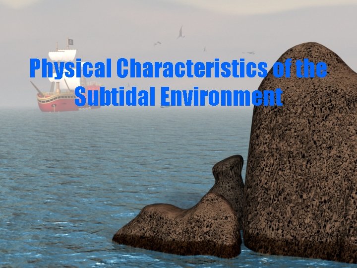 Physical Characteristics of the Subtidal Environment 