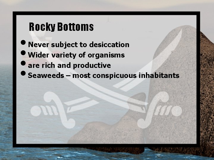 Rocky Bottoms • Never subject to desiccation • Wider variety of organisms • are