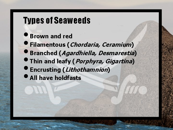 Types of Seaweeds • Brown and red • Filamentous (Chordaria, Ceramium) • Branched (Agardhiella,