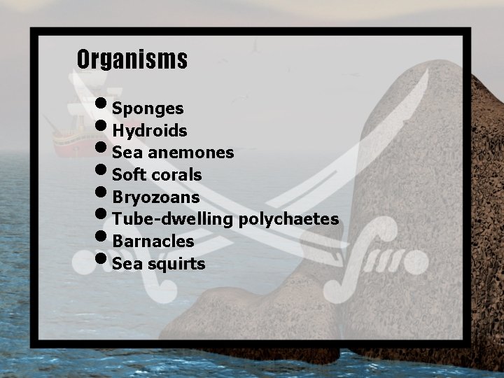 Organisms • Sponges • Hydroids • Sea anemones • Soft corals • Bryozoans •