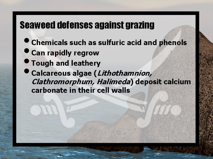 Seaweed defenses against grazing • Chemicals such as sulfuric acid and phenols • Can