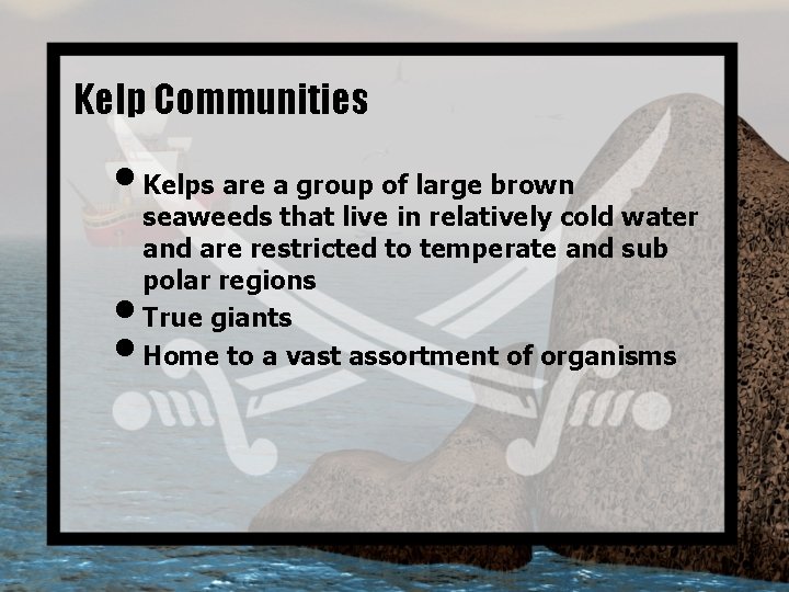 Kelp Communities • Kelps are a group of large brown • • seaweeds that
