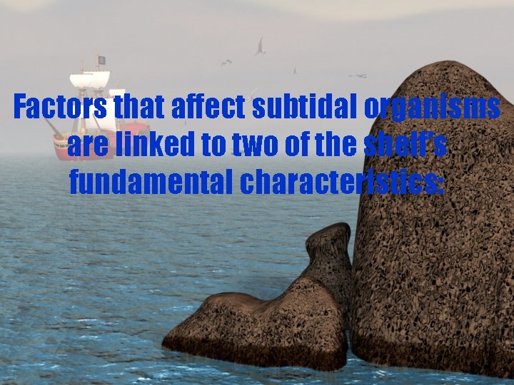 Factors that affect subtidal organisms are linked to two of the shelf’s fundamental characteristics: