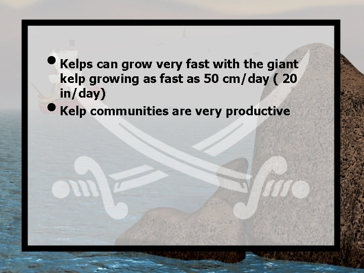  • Kelps can grow very fast with the giant • kelp growing as