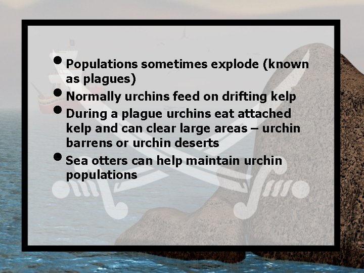  • Populations sometimes explode (known as plagues) • Normally urchins feed on drifting