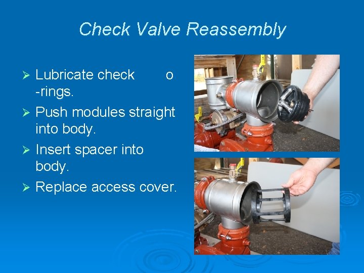 Check Valve Reassembly Lubricate check o -rings. Ø Push modules straight into body. Ø