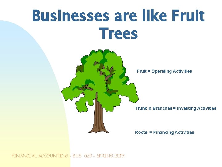 Businesses are like Fruit Trees Fruit = Operating Activities Trunk & Branches = Investing