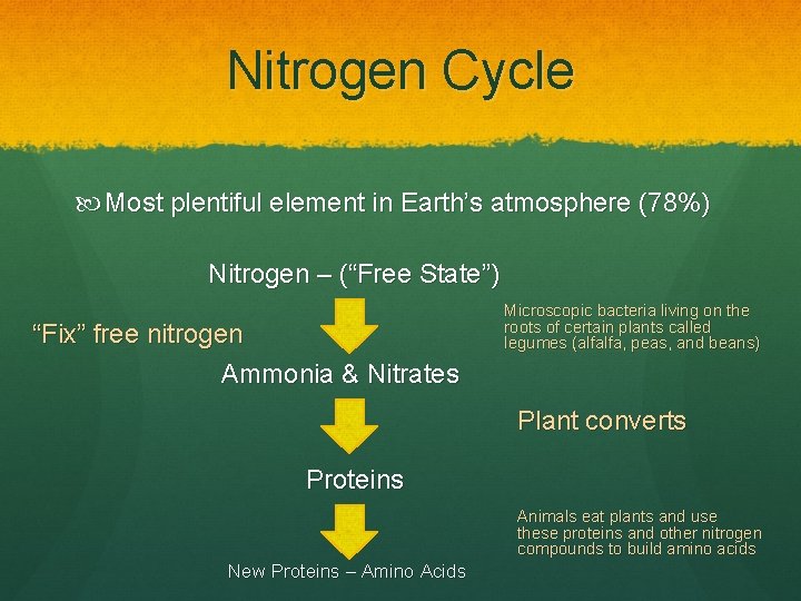 Nitrogen Cycle Most plentiful element in Earth’s atmosphere (78%) Nitrogen – (“Free State”) “Fix”