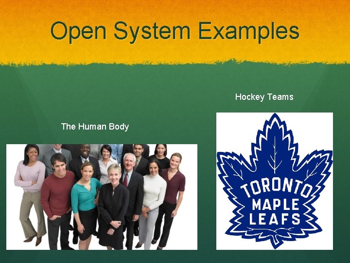 Open System Examples Hockey Teams The Human Body 