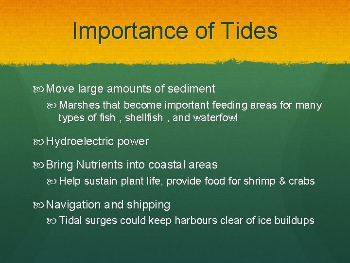 Importance of Tides Move large amounts of sediment Marshes that become important feeding areas