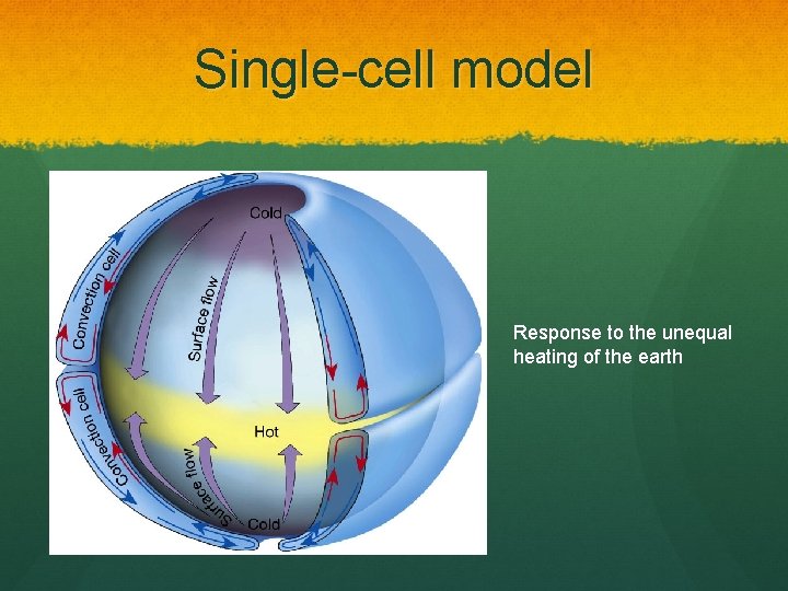 Single-cell model Response to the unequal heating of the earth 