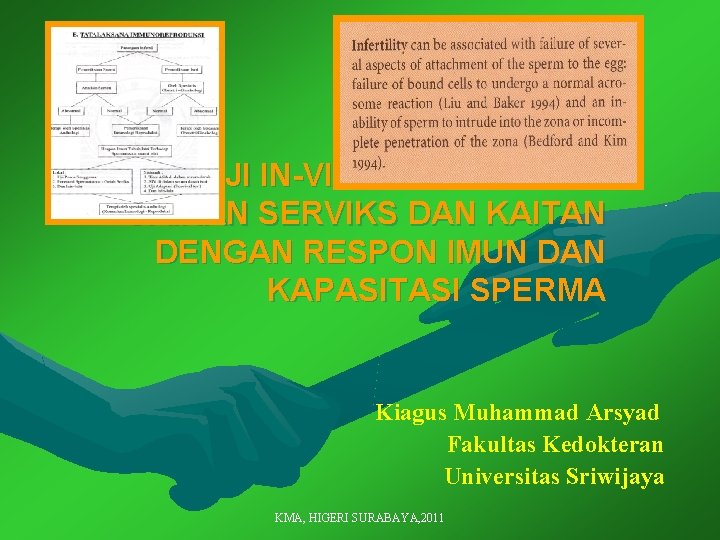UJI IN-VIVO DAN IN-VITRO CAIRAN SERVIKS DAN KAITAN DENGAN RESPON IMUN DAN KAPASITASI SPERMA