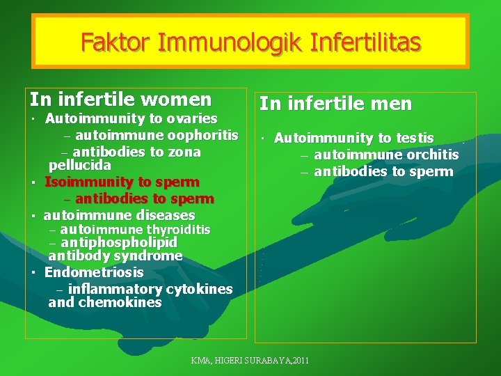 Faktor Immunologik Infertilitas In infertile women In infertile men autoimmune oophoritis ― antibodies to