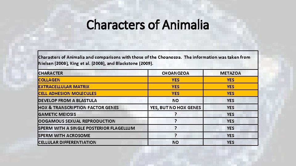 Characters of Animalia and comparisons with those of the Choanozoa. The information was taken Characters of Animalia and comparisons with those of the Choanozoa. The information was taken