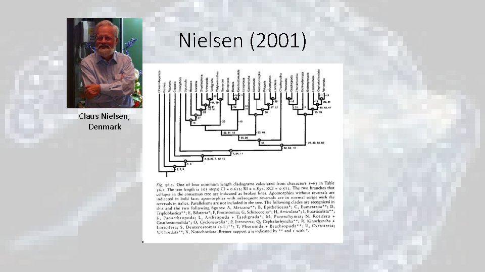 Nielsen (2001) Claus Nielsen, Denmark Nielsen (2001) Claus Nielsen, Denmark