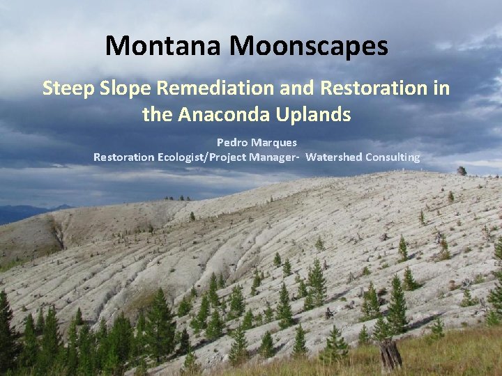 Montana Moonscapes Steep Slope Remediation and Restoration in the Anaconda Uplands Pedro Marques Restoration