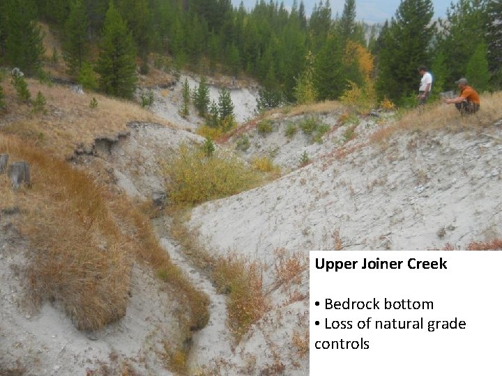 Upper Joiner Creek • Bedrock bottom • Loss of natural grade controls 