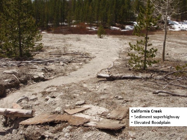 California Creek • Sediment superhighway • Elevated floodplain 