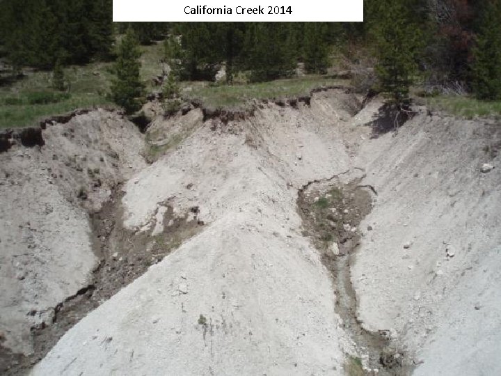 California Creek 2014 