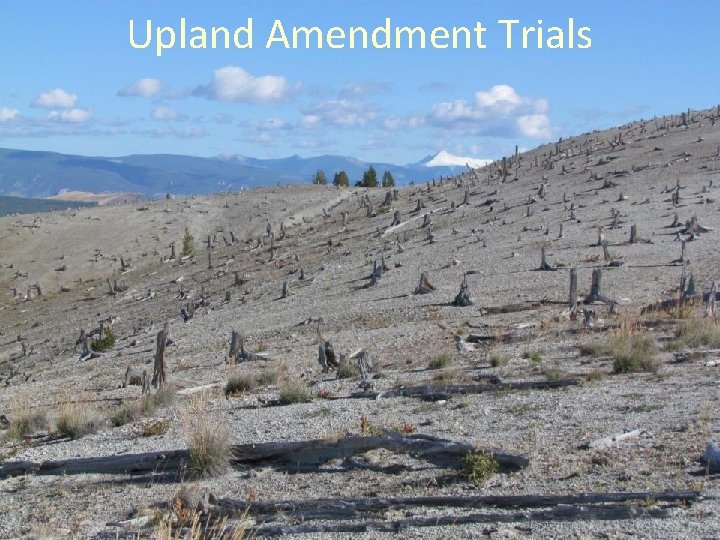 Upland Amendment Trials 