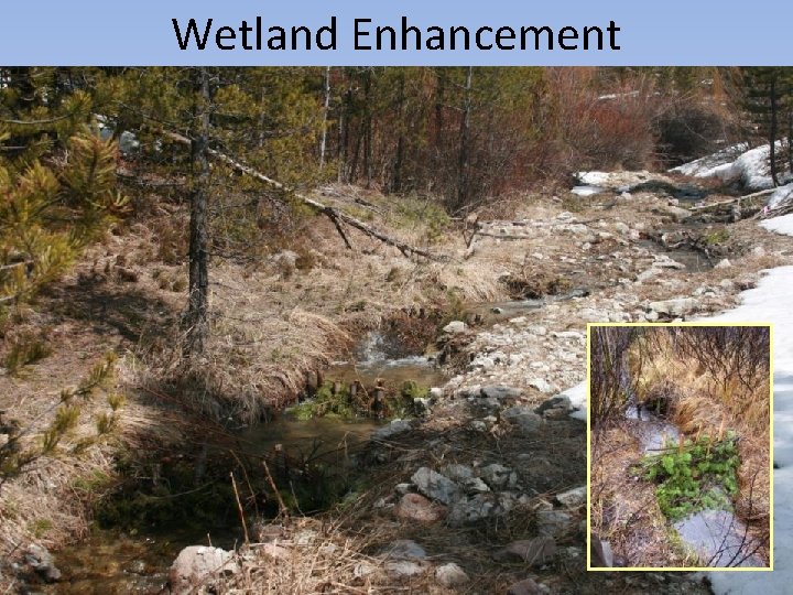 Wetland Enhancement 