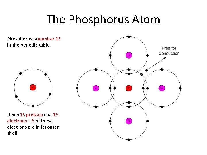 The Phosphorus Atom Phosphorus is number 15 in the periodic table It has 15