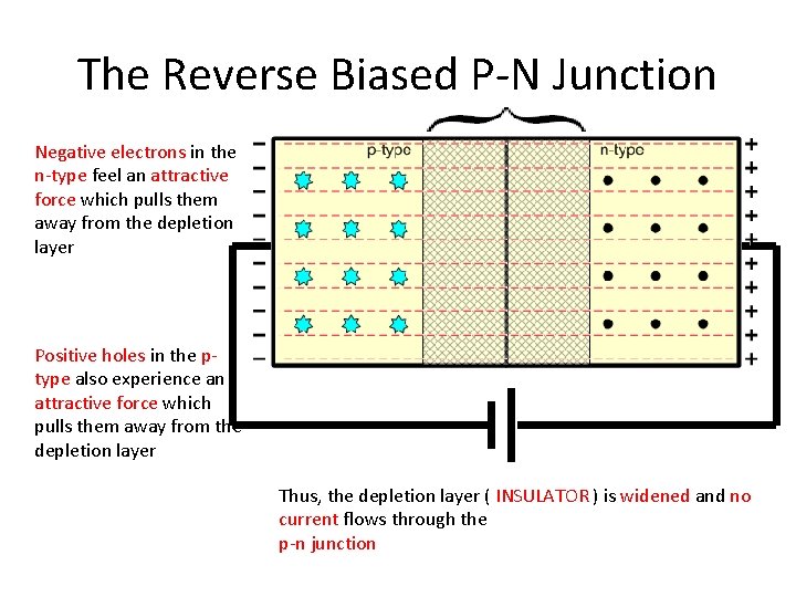 The Reverse Biased P-N Junction Negative electrons in the n-type feel an attractive force