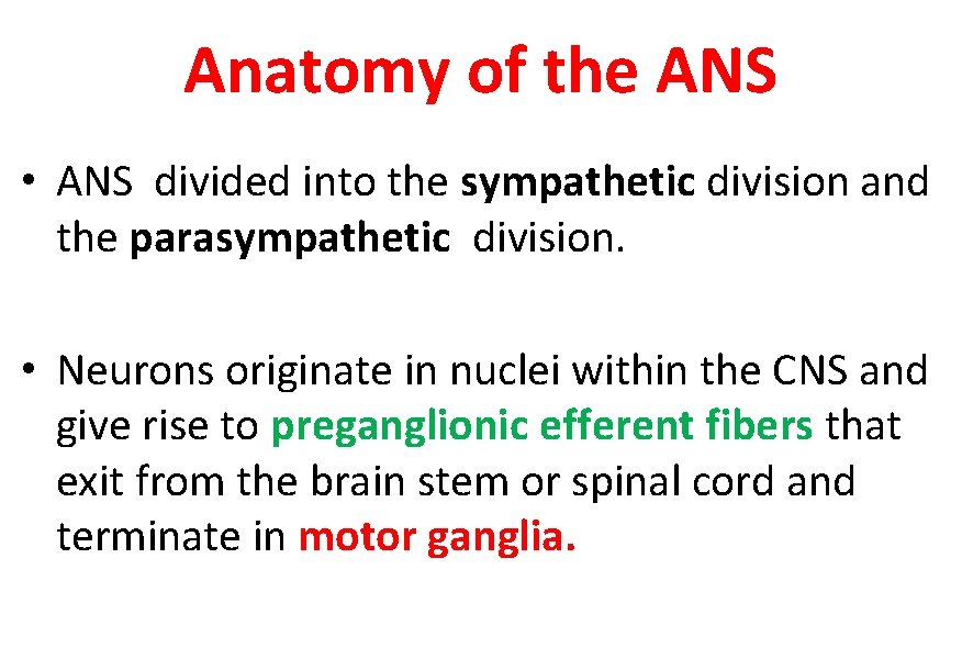 Anatomy of the ANS • ANS divided into the sympathetic division and the parasympathetic