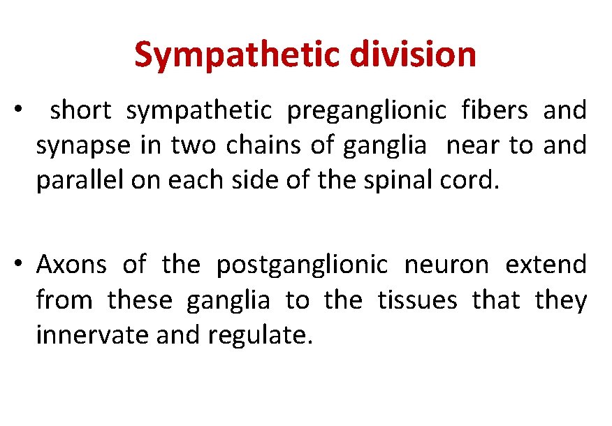 Sympathetic division • short sympathetic preganglionic fibers and synapse in two chains of ganglia