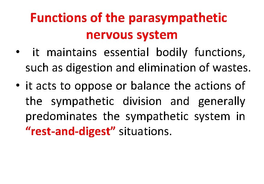 Functions of the parasympathetic nervous system • it maintains essential bodily functions, such as