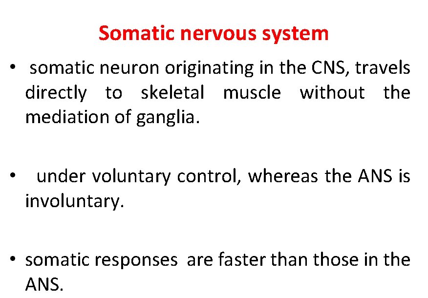 Somatic nervous system • somatic neuron originating in the CNS, travels directly to skeletal