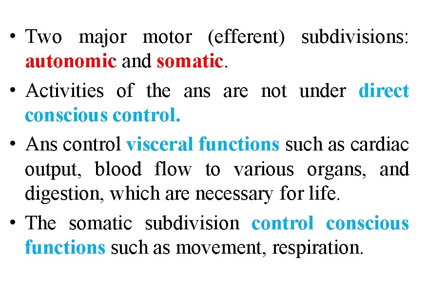  • Two major motor (efferent) subdivisions: autonomic and somatic. • Activities of the