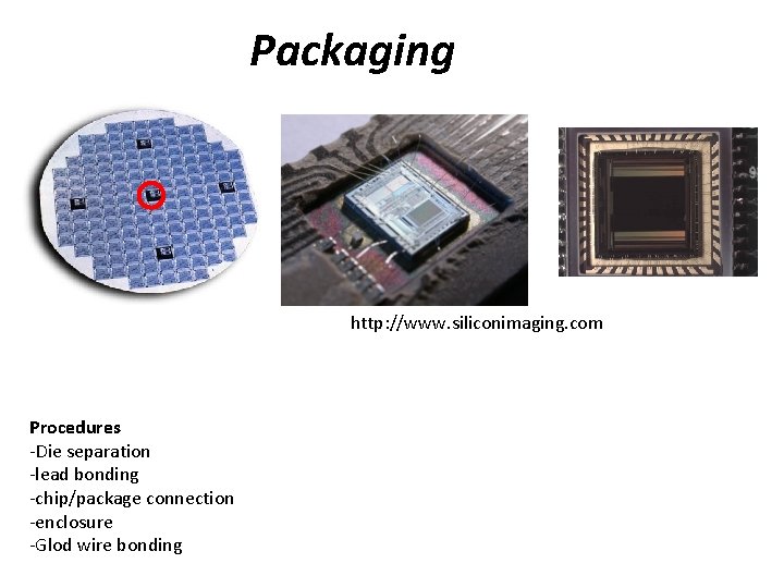 Packaging http: //www. siliconimaging. com Procedures -Die separation -lead bonding -chip/package connection -enclosure -Glod