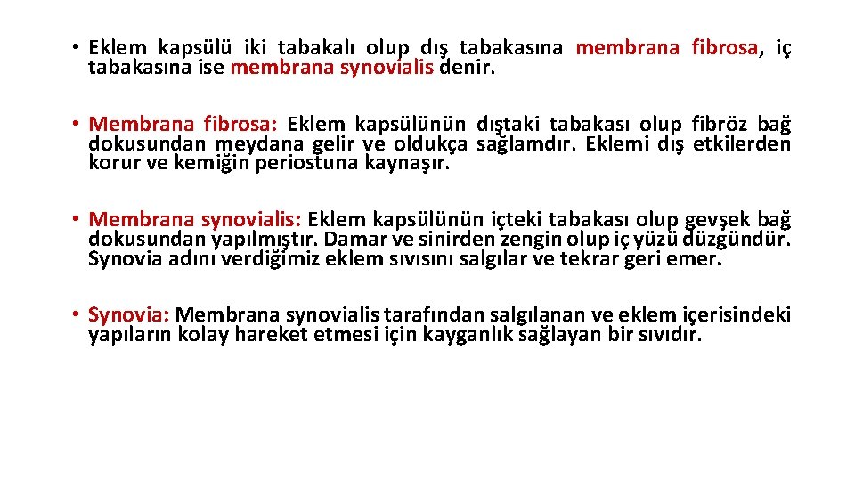 • Eklem kapsülü iki tabakalı olup dış tabakasına membrana fibrosa, iç tabakasına ise • Eklem kapsülü iki tabakalı olup dış tabakasına membrana fibrosa, iç tabakasına ise