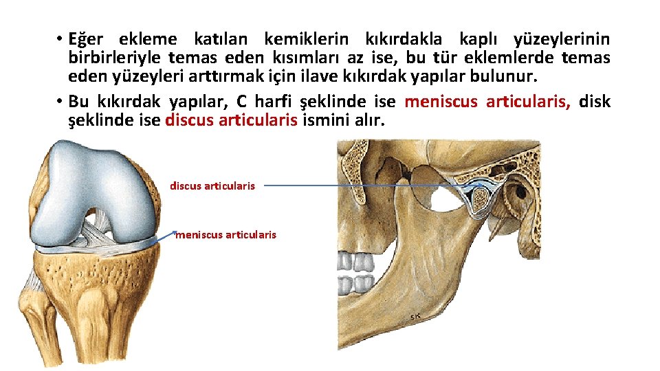 • Eğer ekleme katılan kemiklerin kıkırdakla kaplı yüzeylerinin birbirleriyle temas eden kısımları az • Eğer ekleme katılan kemiklerin kıkırdakla kaplı yüzeylerinin birbirleriyle temas eden kısımları az