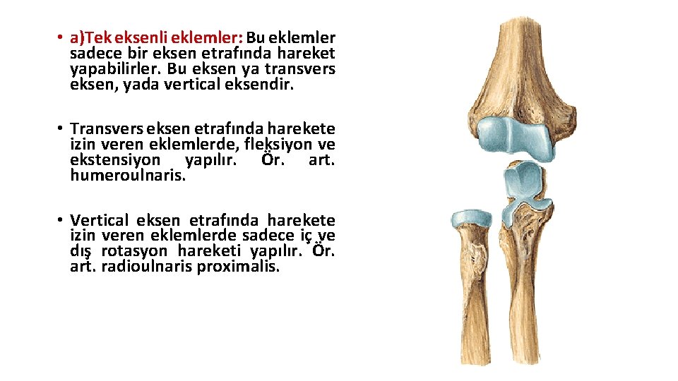 • a)Tek eksenli eklemler: Bu eklemler sadece bir eksen etrafında hareket yapabilirler. Bu • a)Tek eksenli eklemler: Bu eklemler sadece bir eksen etrafında hareket yapabilirler. Bu