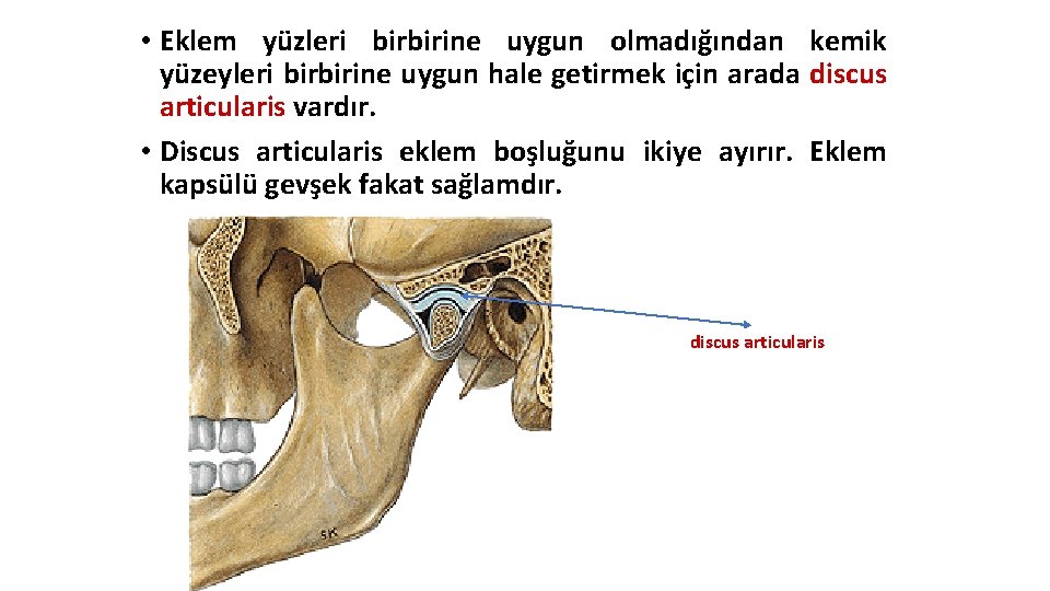 • Eklem yüzleri birbirine uygun olmadığından kemik yüzeyleri birbirine uygun hale getirmek için • Eklem yüzleri birbirine uygun olmadığından kemik yüzeyleri birbirine uygun hale getirmek için