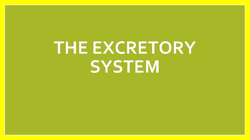 THE EXCRETORY SYSTEM 