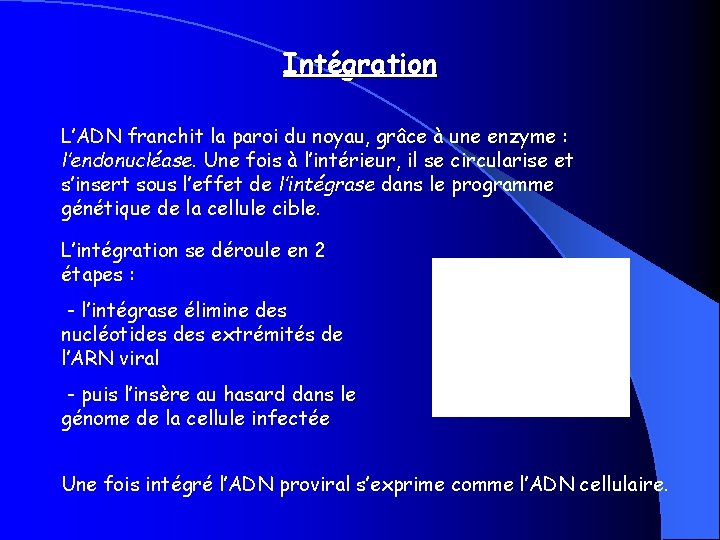 Intégration L’ADN franchit la paroi du noyau, grâce à une enzyme : l’endonucléase. Une