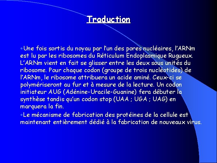 Traduction Une fois sortis du noyau par l’un des pores nucléaires, l’ARNm est lu