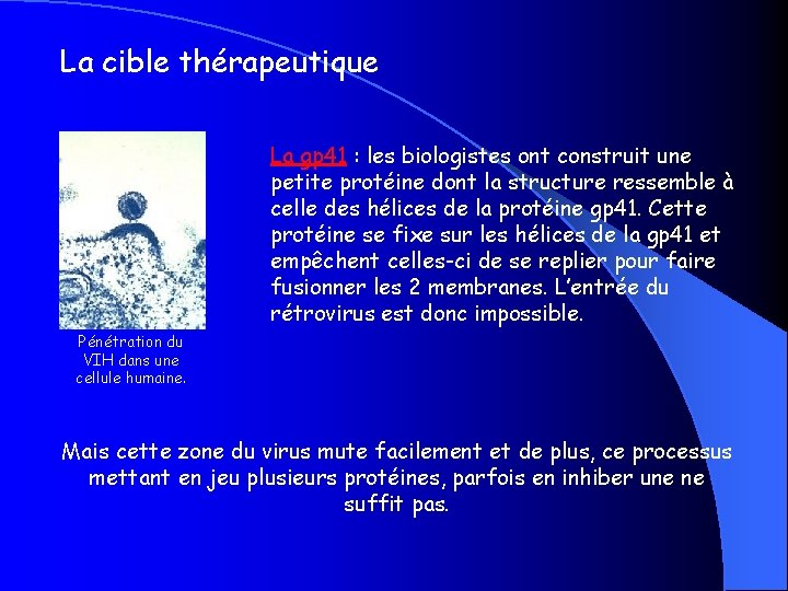 La cible thérapeutique La gp 41 : les biologistes ont construit une petite protéine