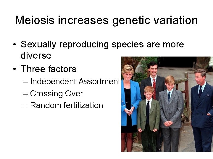 Meiosis increases genetic variation • Sexually reproducing species are more diverse • Three factors