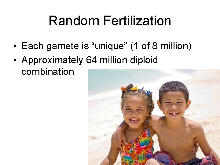Random Fertilization • Each gamete is “unique” (1 of 8 million) • Approximately 64