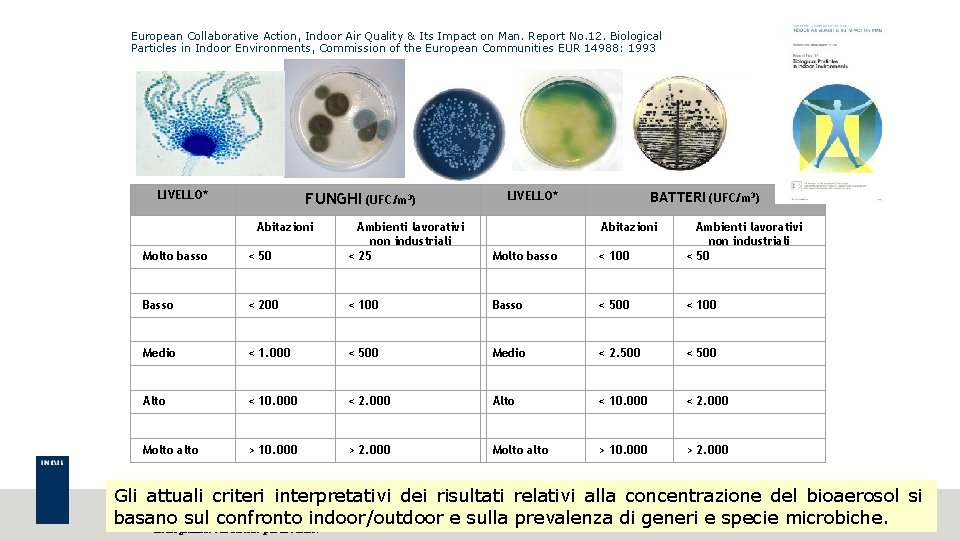 European Collaborative Action, Indoor Air Quality & Its Impact on Man. Report No. 12.