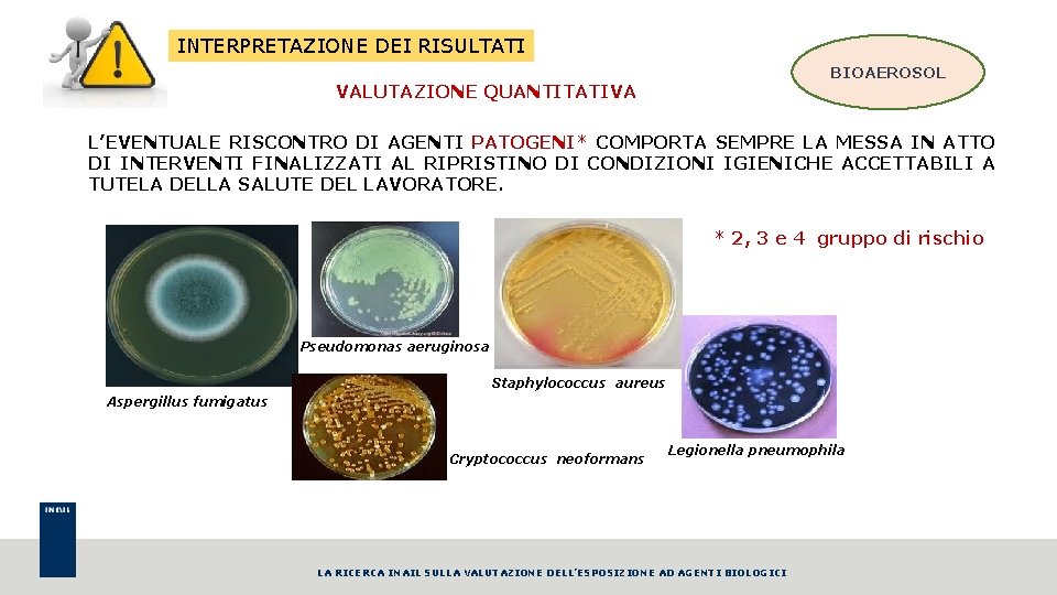 INTERPRETAZIONE DEI RISULTATI BIOAEROSOL VALUTAZIONE QUANTITATIVA L’EVENTUALE RISCONTRO DI AGENTI PATOGENI* COMPORTA SEMPRE LA