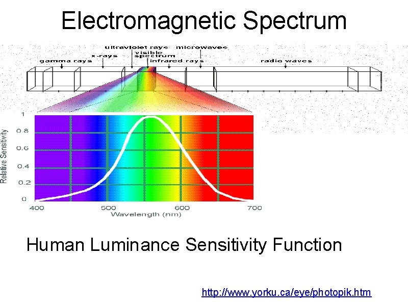 Electromagnetic Spectrum Human Luminance Sensitivity Function http: //www. yorku. ca/eye/photopik. htm 