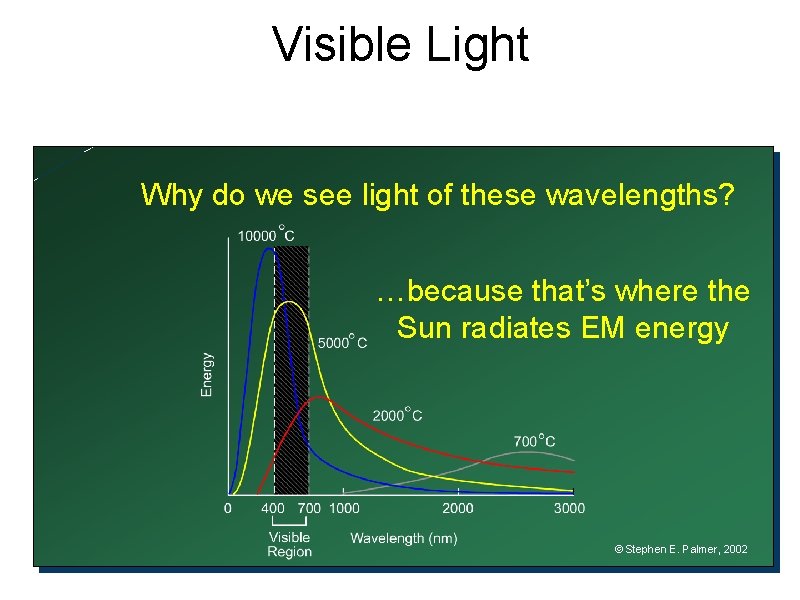 Visible Light Why do we see light of these wavelengths? …because that’s where the