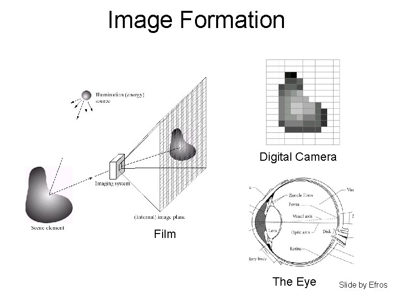 Image Formation Digital Camera Film The Eye Slide by Efros 
