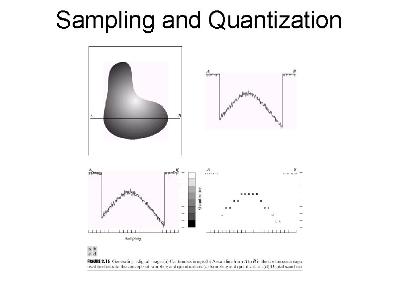 Sampling and Quantization 
