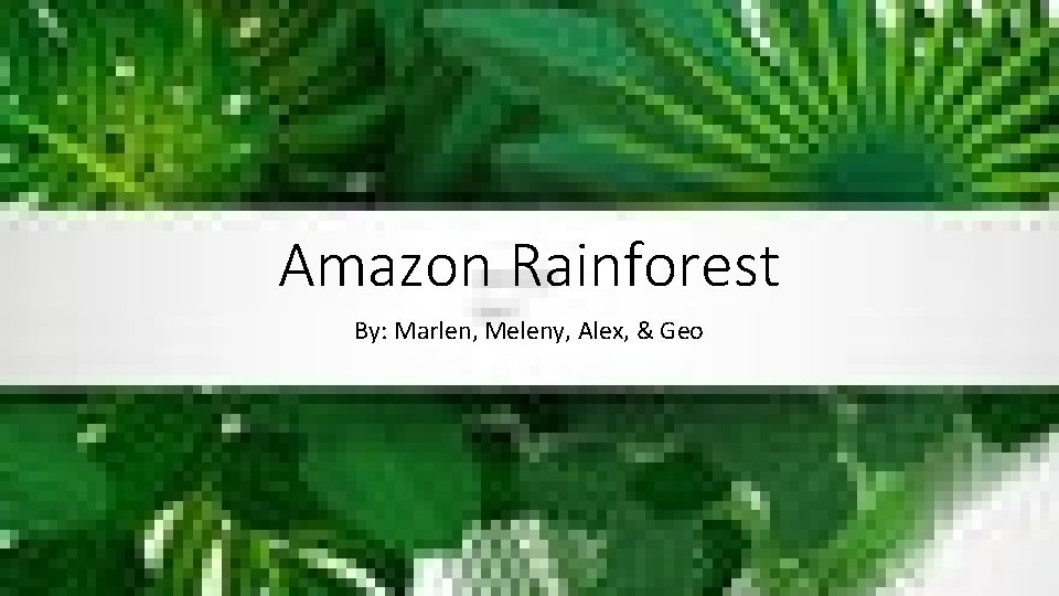 Amazon Rainforest By: Marlen, Meleny, Alex, & Geo 